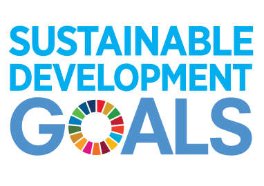 SDG Logo